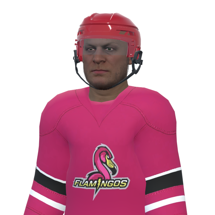 hockeymike2344 headshot